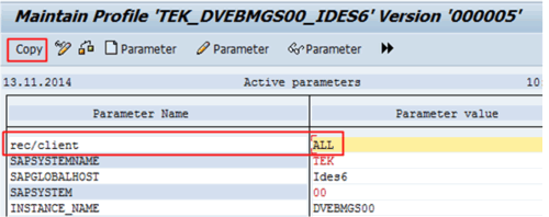 ABAP-parametro-profile-1