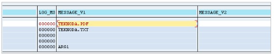 ABAP-function-module-message-2
