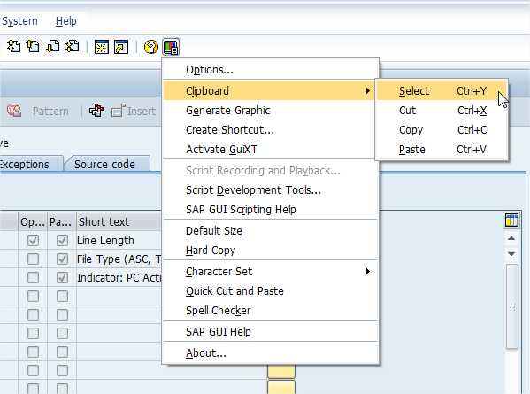 ABAP-Copy-Paste-Opcion-2