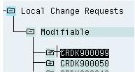 ABAP-Imagen-selccion-CTRL-Y