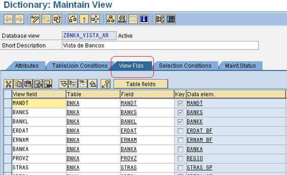 ABAP-crear-vista-de-actualizacion-2