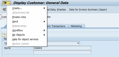 ABAP-Display-Customer-8