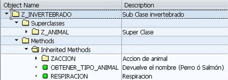 22abap_object_zinvertebrado_displayobject