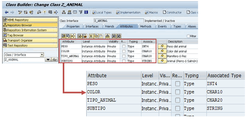 5abap_object_zanimal_attr
