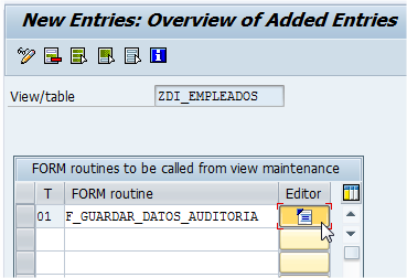 ABAP-New-Entries-Overview-Added-Entries-4